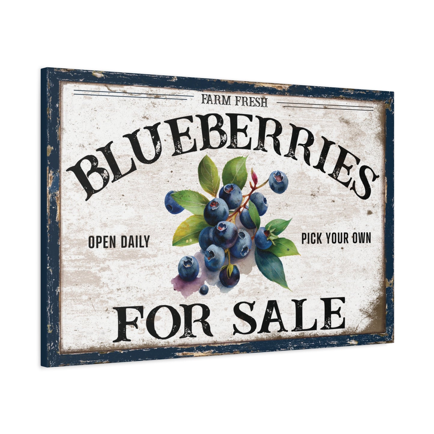 Blueberries for Sale Canvas Art