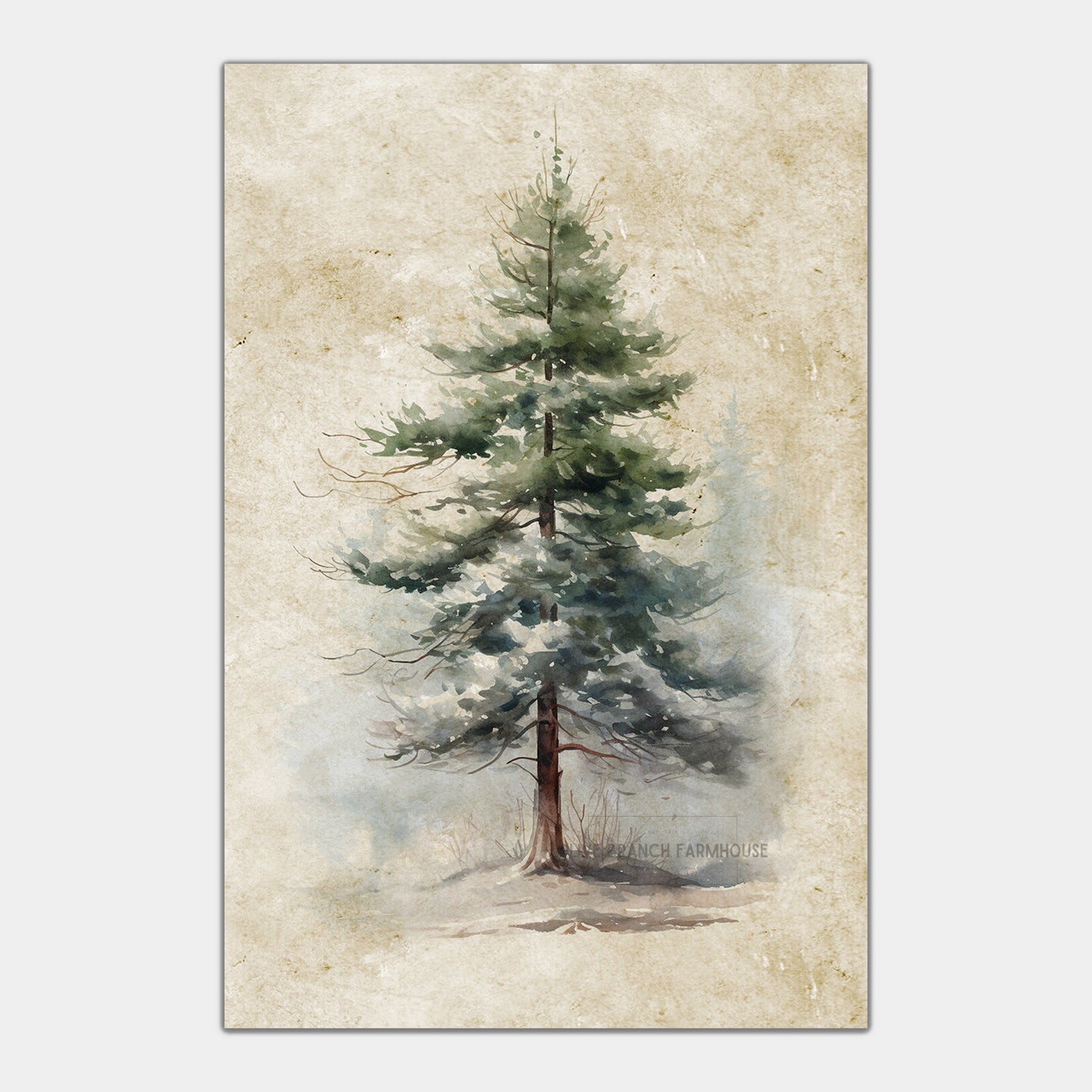 Conifers Winter Art