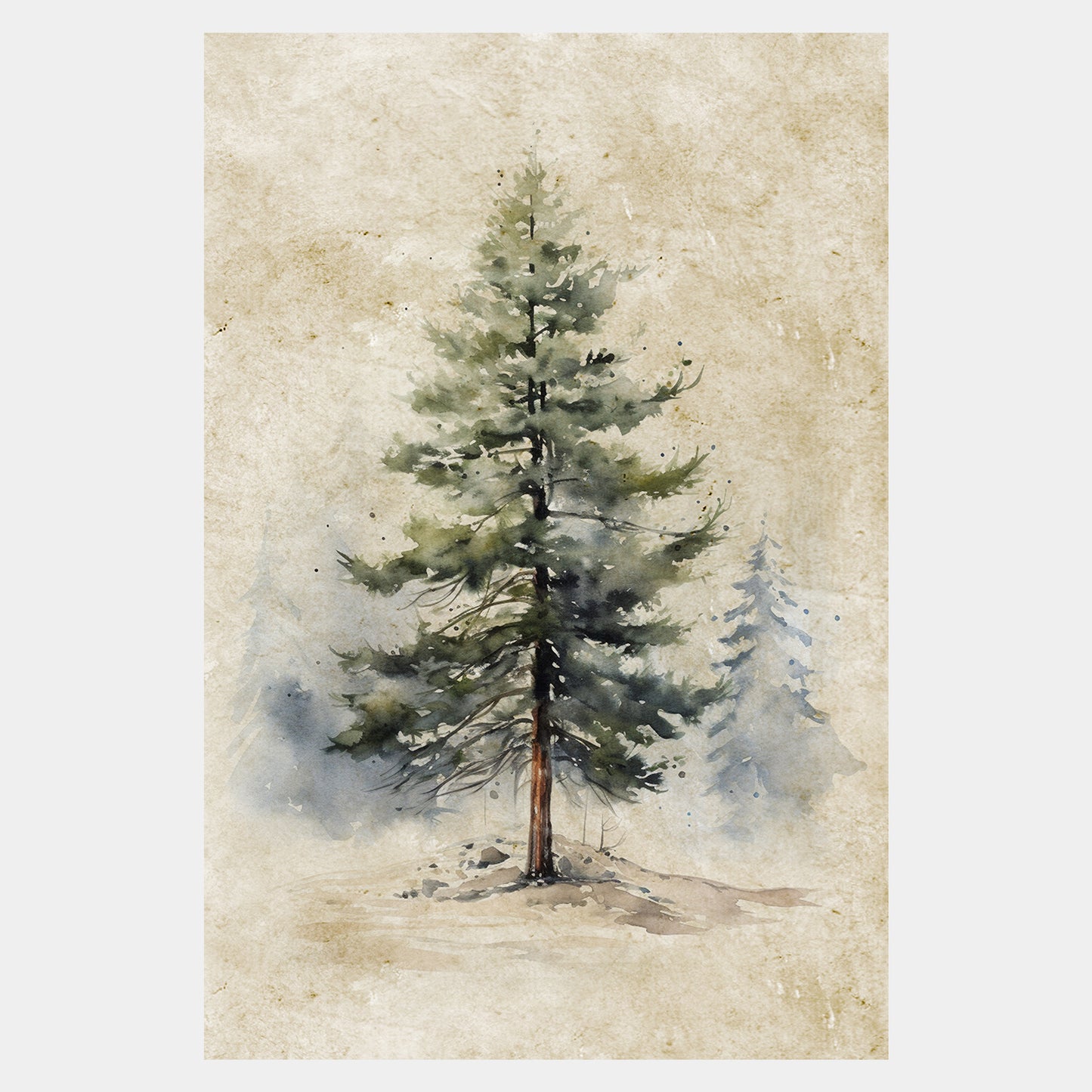 Conifers Winter Art