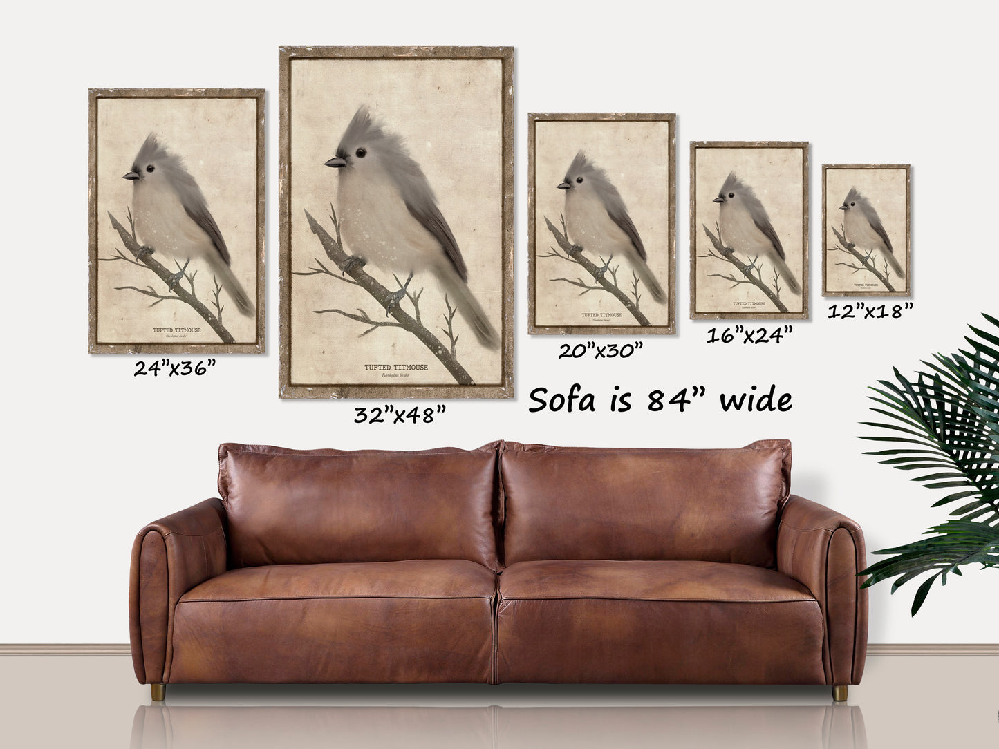 Tufted Titmouse