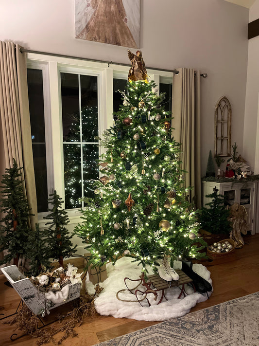 A little Christmas reflection from my heart to yours