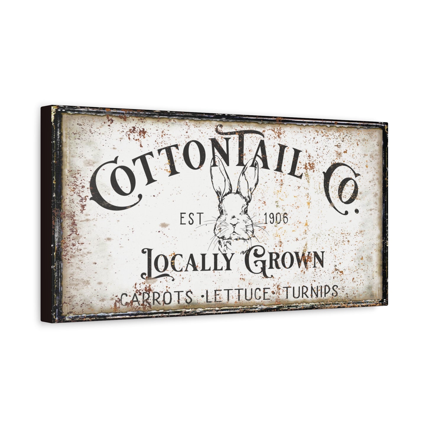 Cottontail Co Canvas Art