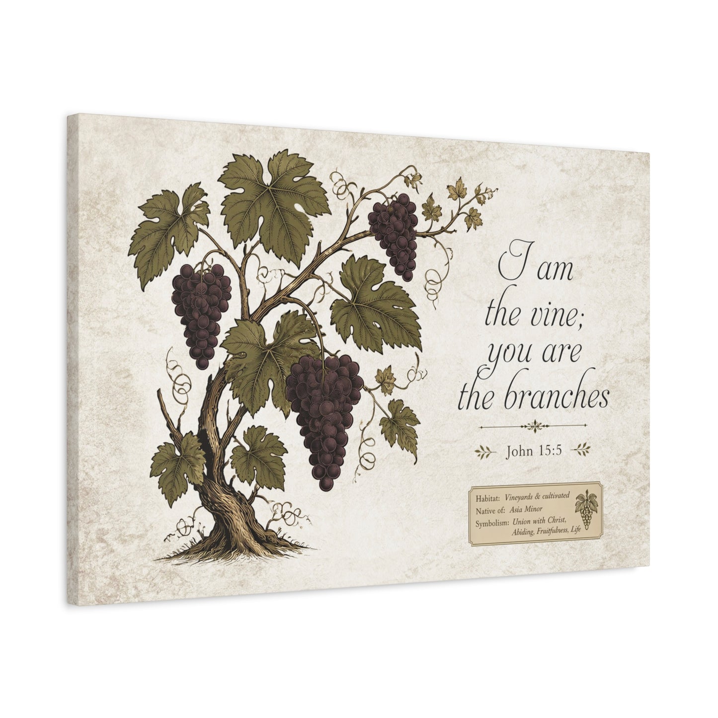 I am the Vine Bible Verse Canvas Art