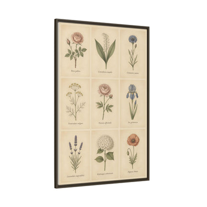 Vintage Garden Botanicals Wood Framed Canvas Wall Art