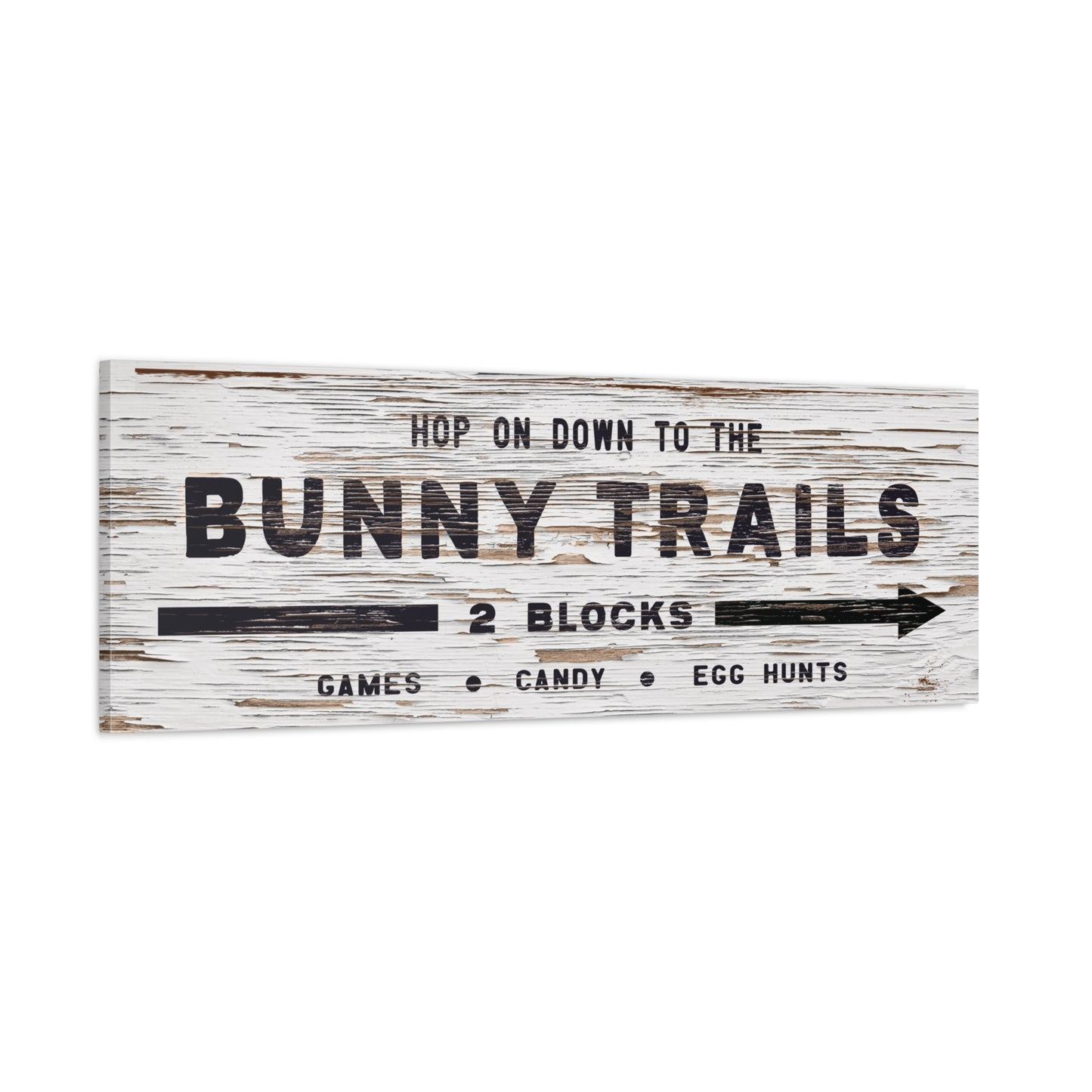 Bunny Trails Canvas Wall Art