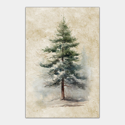 Conifers Winter Art