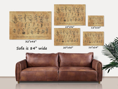 Fern Print, Botanical Illustration Wall Art, Plant Lovers Gift, Vintage Home Decor, Nature Lover Gift, Botanical Artwork, Herbalist Gift