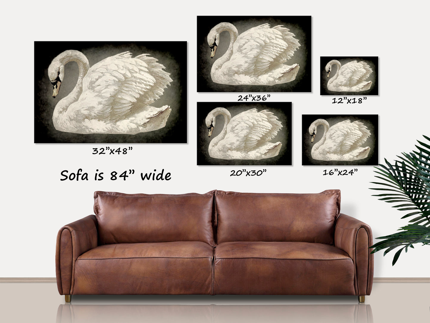 Vintage Black Swan Canvas Art