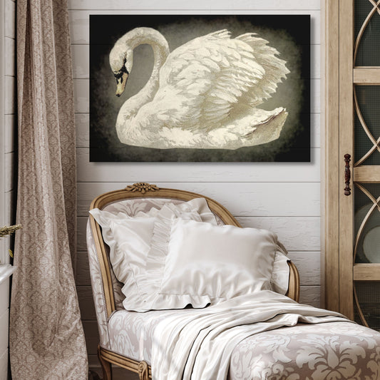 Vintage Black Swan Canvas Art